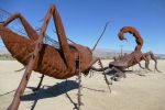 PICTURES/Borrego Springs Sculptures - Bugs, Cats & Birds/t_P1000350.JPG